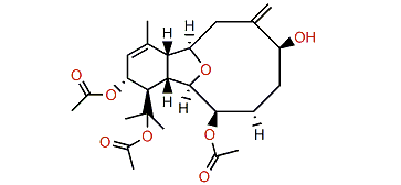 Astrogorgin E